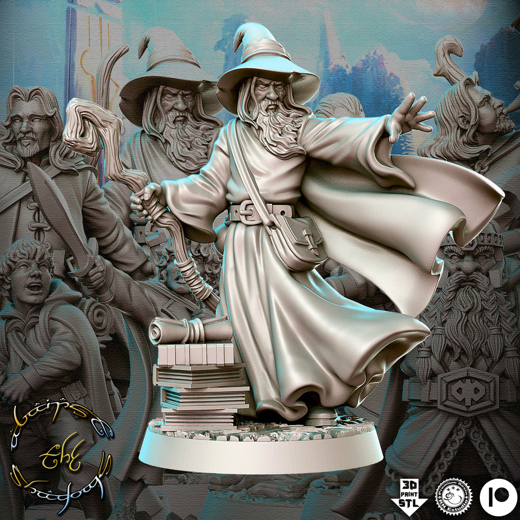 Lord of the Rings – The Fellowship Miniature Set